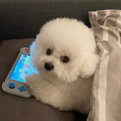 漫威蜘蛛侠2怎么样